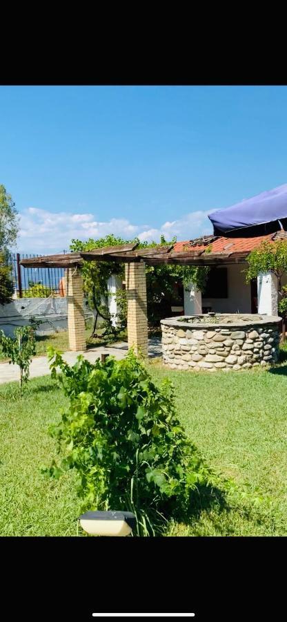 Village Dimopoulos Rodhodháfni Exterior photo