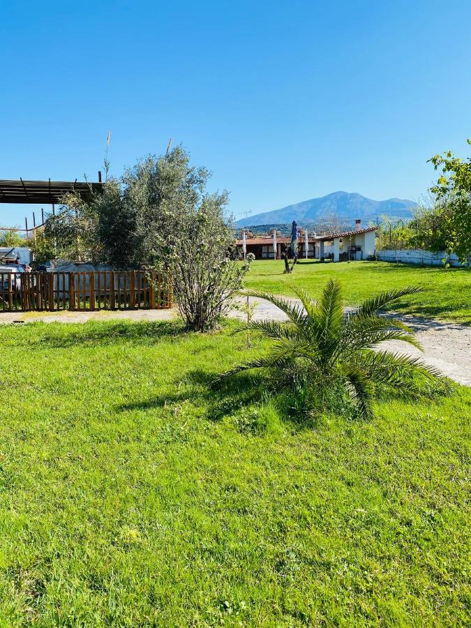 Village Dimopoulos Rodhodháfni Exterior photo